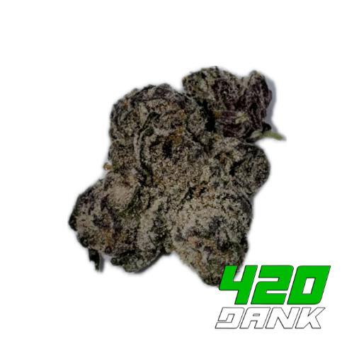 Deli Flower - Doghouse - Gratiot Gold