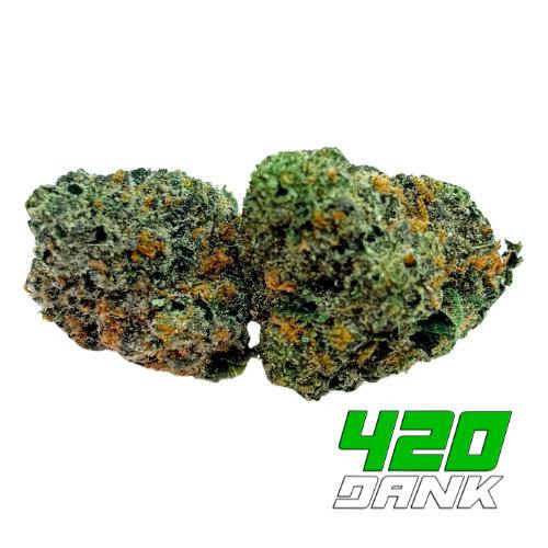 Deli Flower - Watermelon Gelato