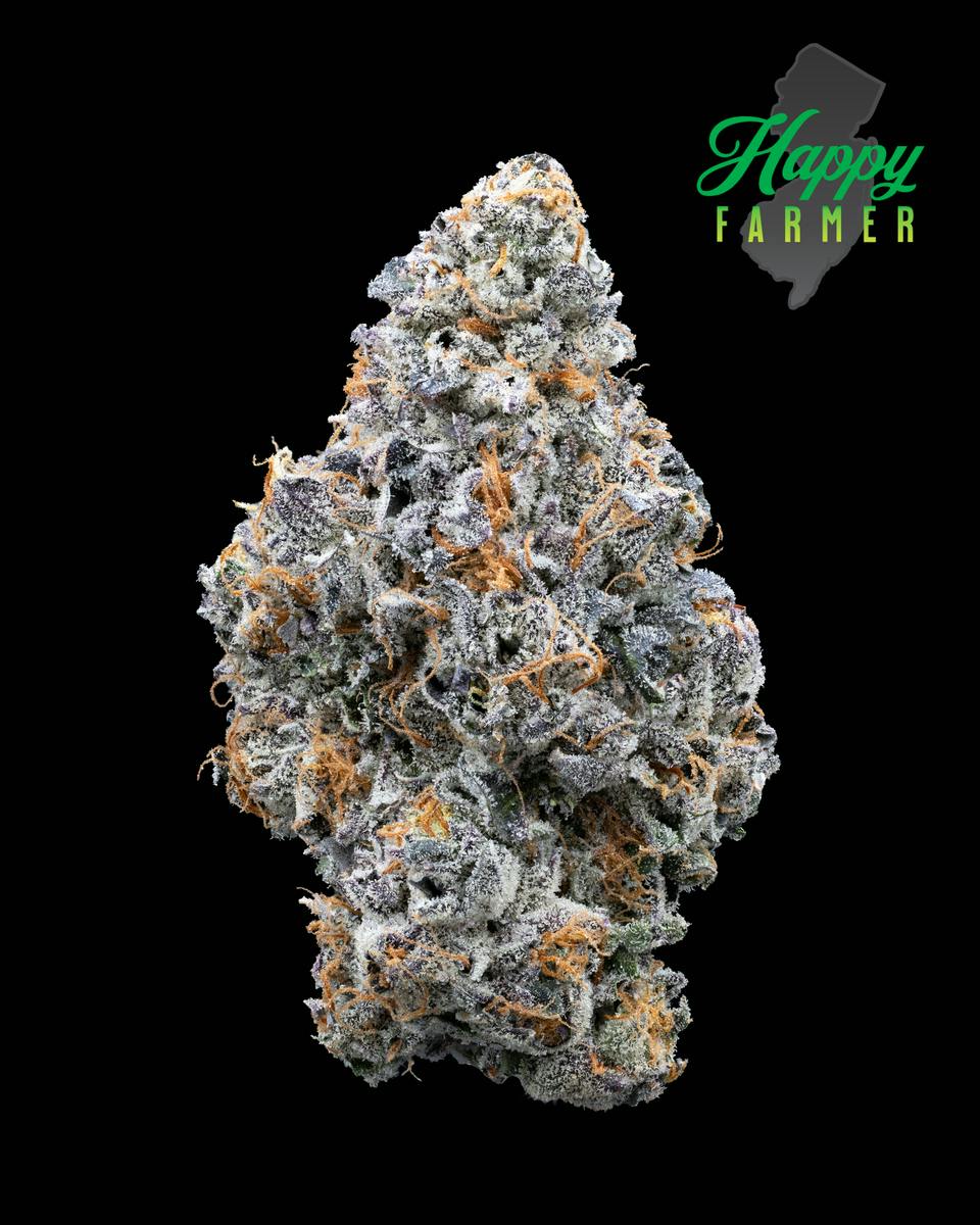 LEMON CHERRY FRITTER