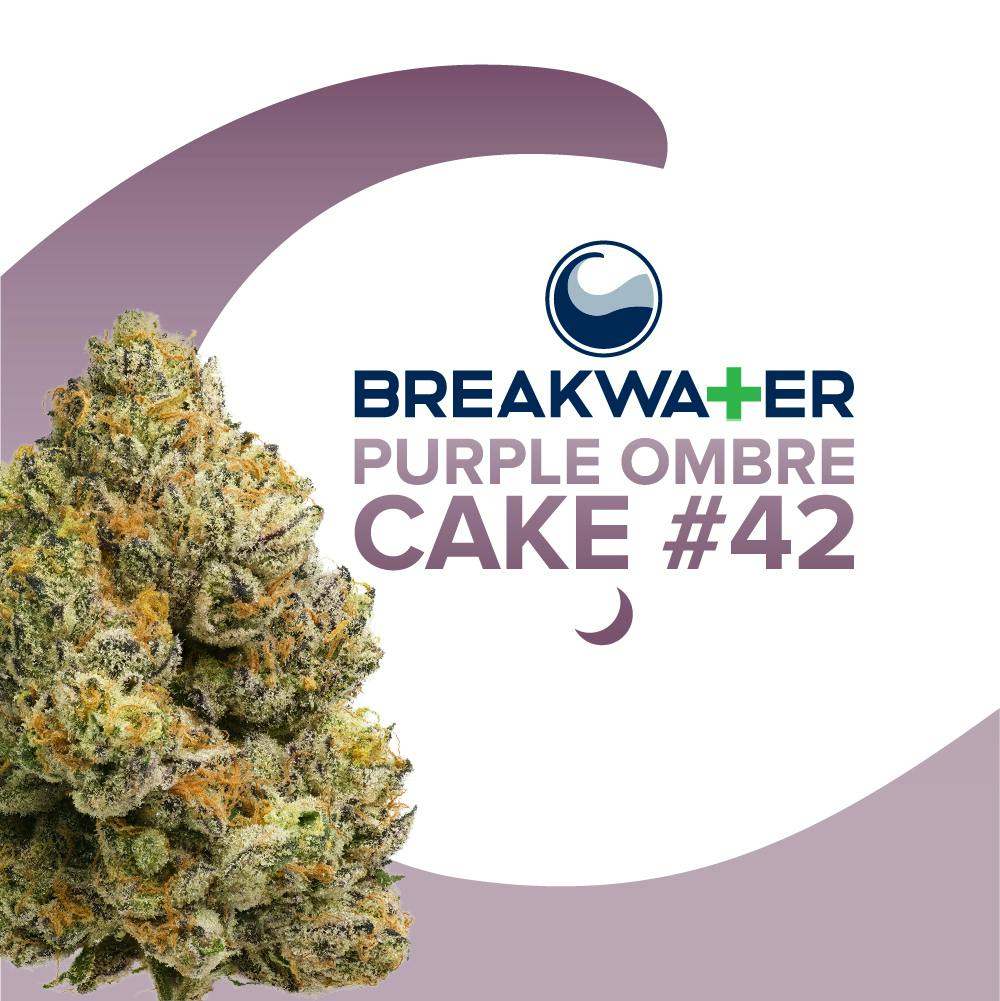 PURPLE OMBRE CAKE #42