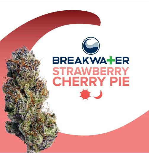 Strawberry Cherry Pie