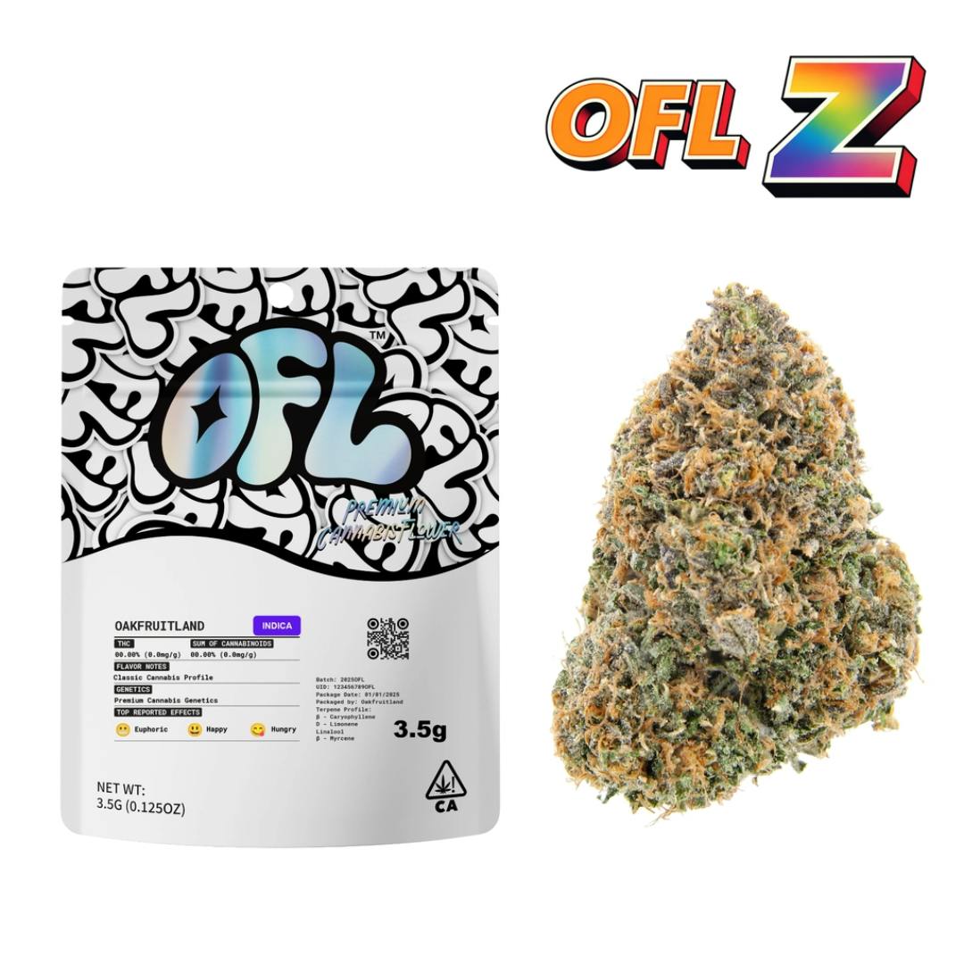OFL Z — OFL Z 3.5G