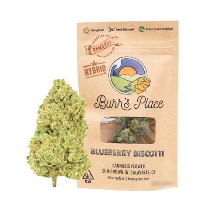 BLUEBERRY: Biscotti