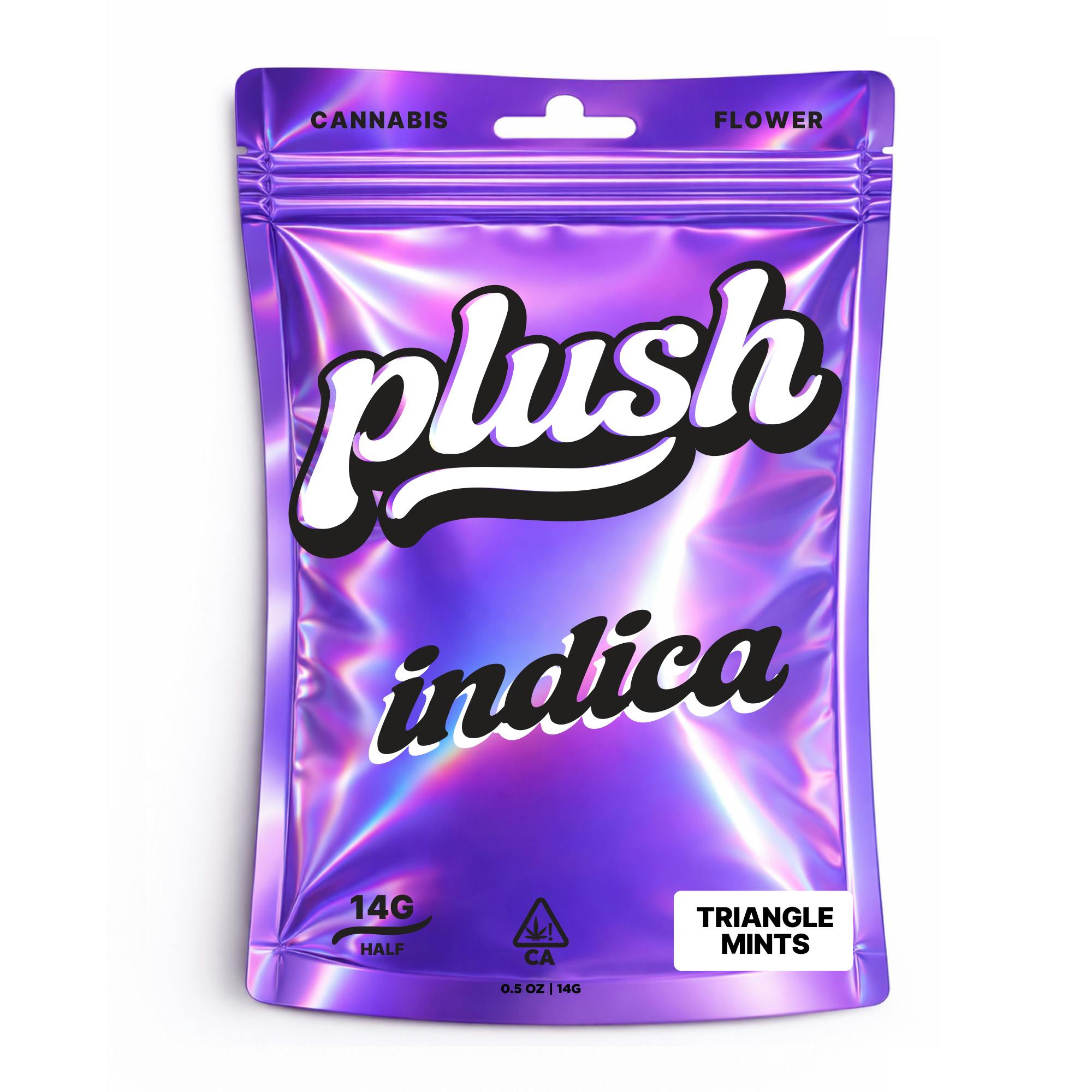 TRIANGLE MINTS: TRIANGLE MINTS 14G