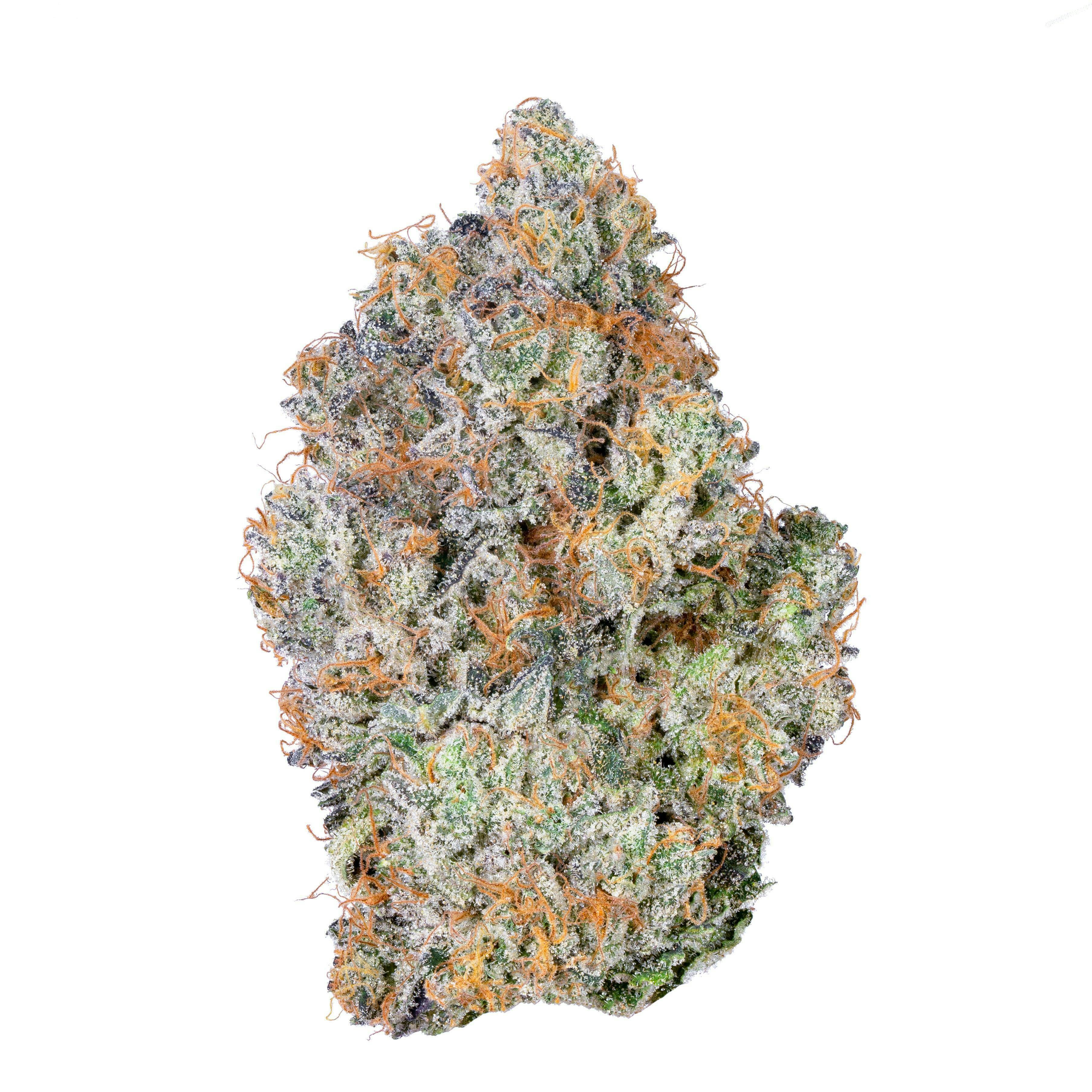 BK SATELLITE: BK SATELLITE 10G