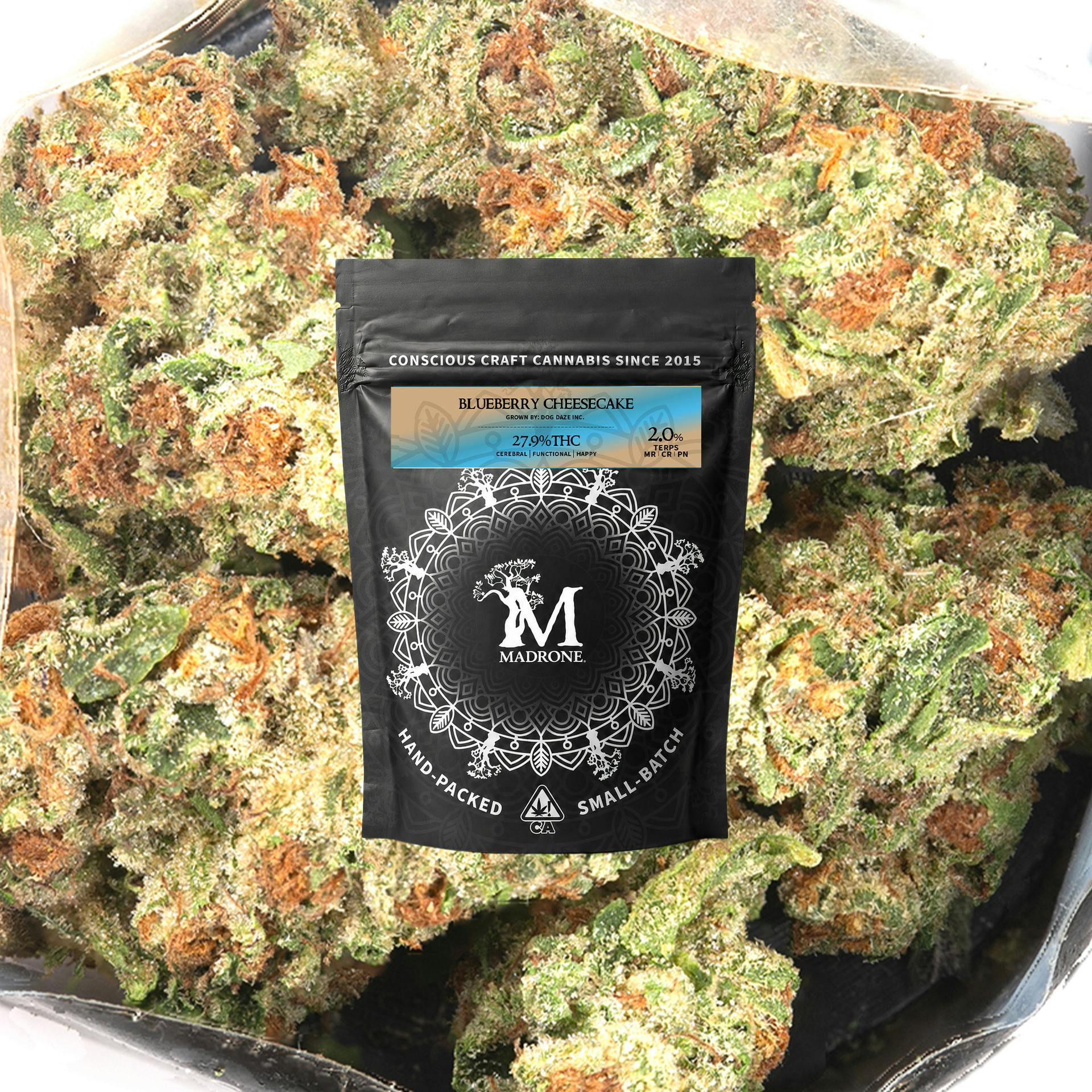 Blueberry Cheesecake: BLUEBERRY CHEESECAKE 3.5G