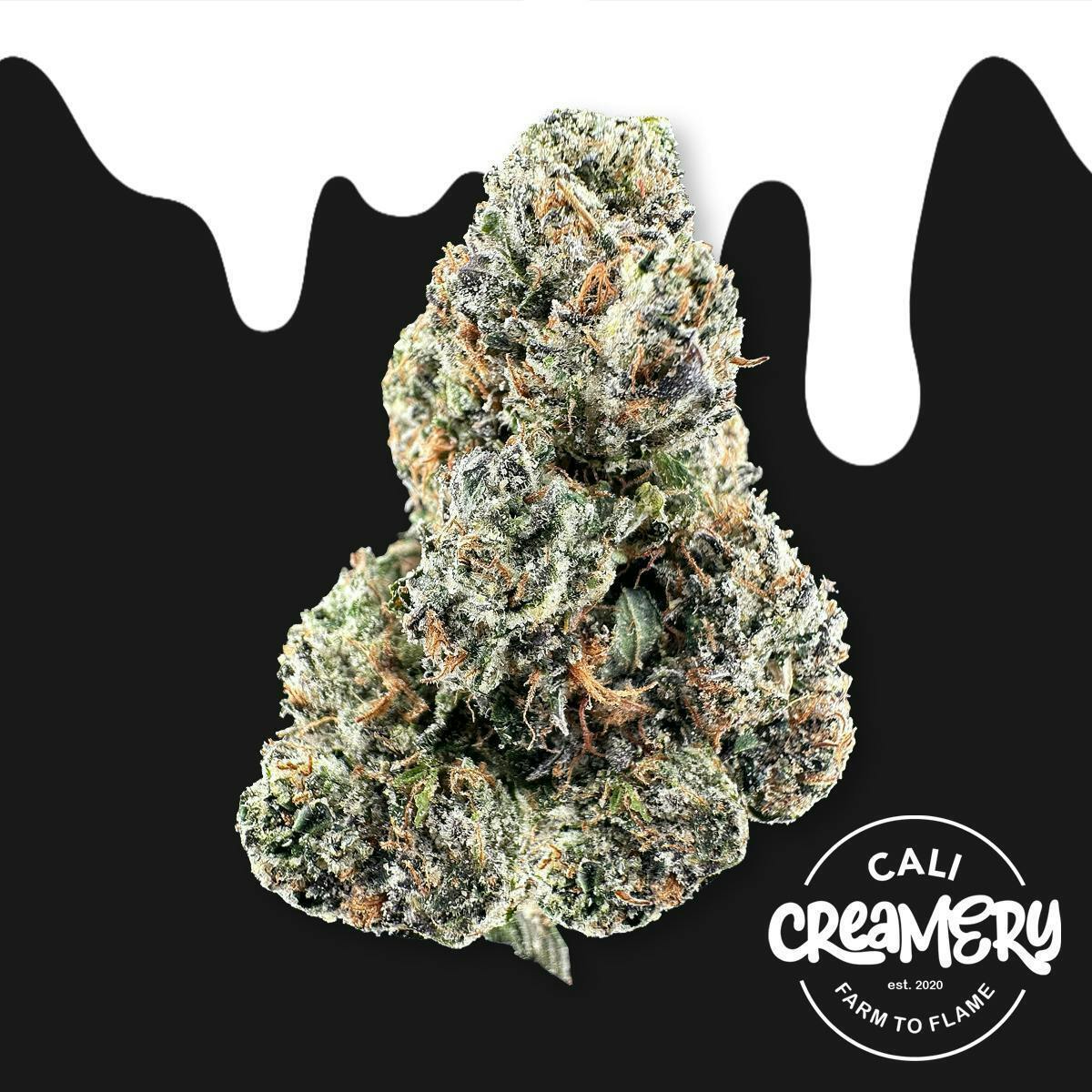 WILD CHERRIES: WILD CHERRIES SMALLS 7G