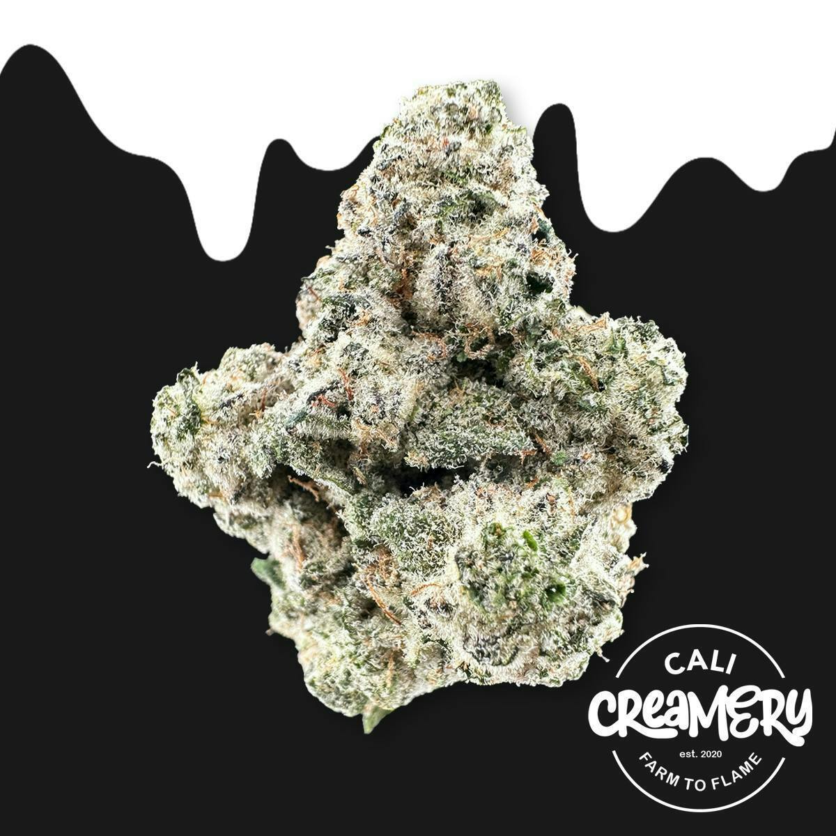 Golden Ticket: GOLDEN TICKET SMALLS 7G