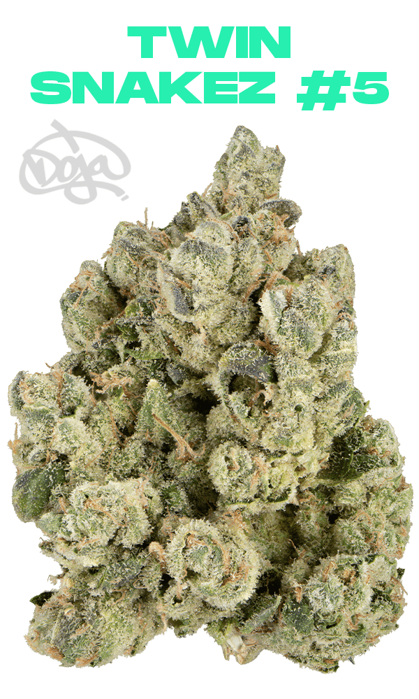 Twin Snakez #5 Eighth