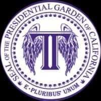 PRESIDENTIAL GRAND DADDY — Purple