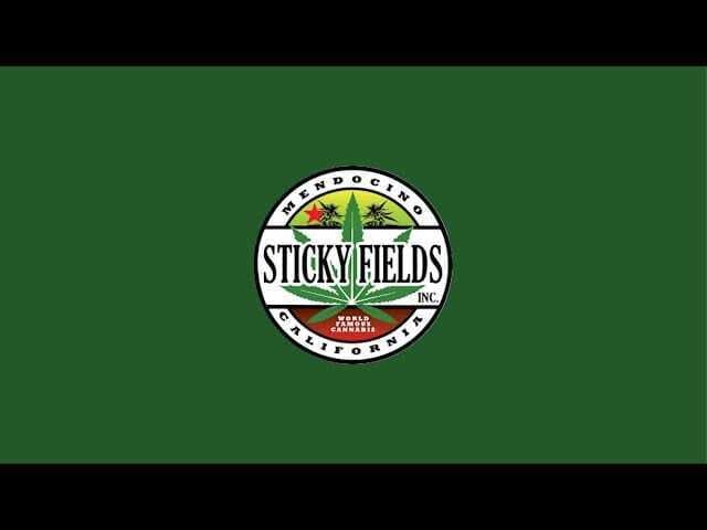STICKY FIELDS: Purple Headies Sticky Fields X Redwood Roots