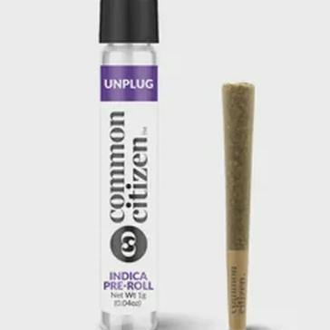 Ogee Crasher 1g Pre Roll - Indica