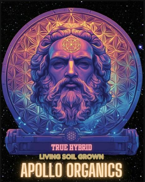 Runtz x Pancakes | Pre-Roll | 1g | Living Soil