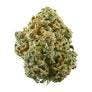Solace Grown Sherbanger