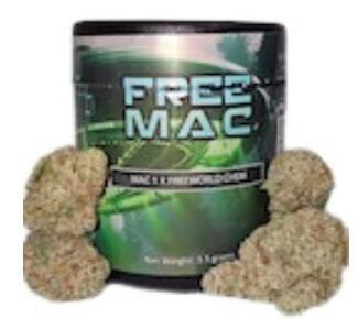Solace Select Free Mac