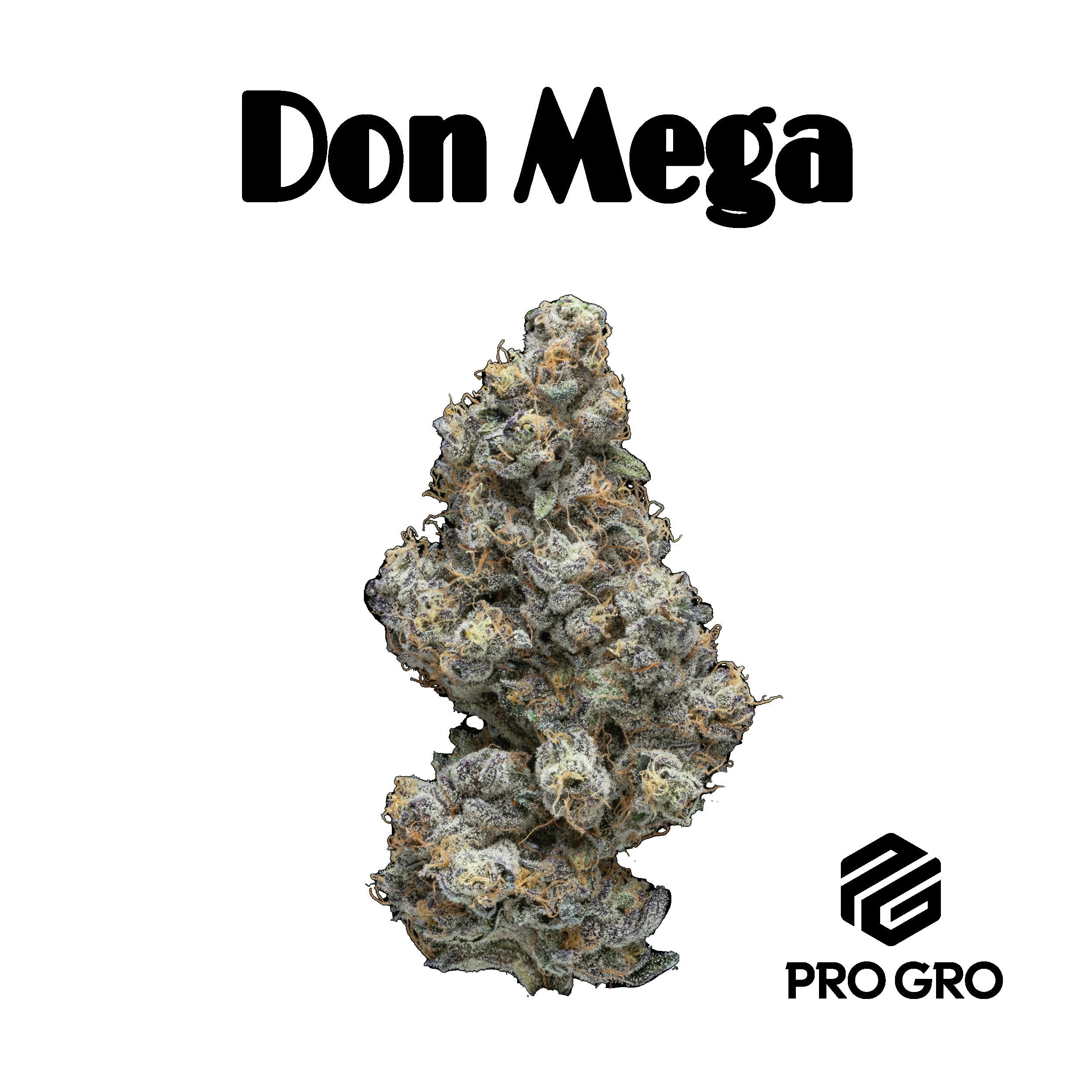 Don Mega | Deli