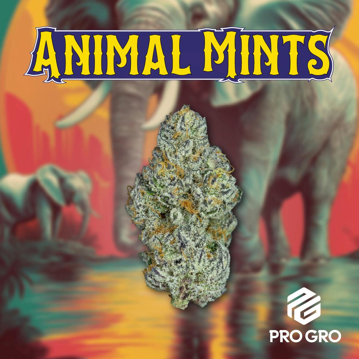 Animal Mints | Deli