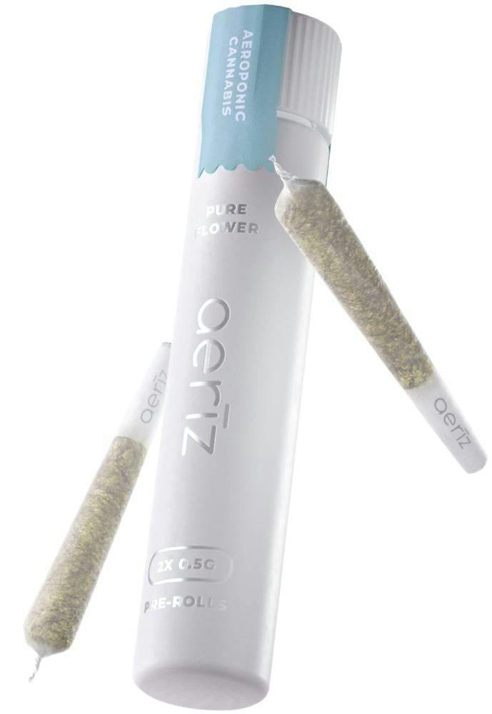 MULE FUEL 2PK NUG ROLLS