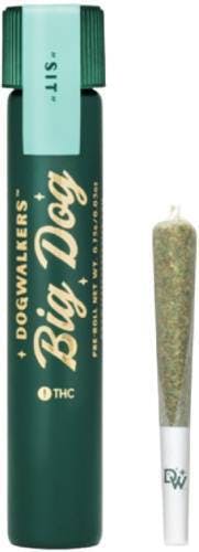 BROWNIE SCOUT BIG DOG PREROLL