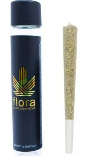 CHEMNESIA PREROLL