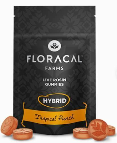 TROPICAL PUNCH LIVE ROSIN GUMMIES 10PK