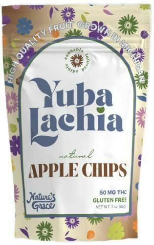 Natural Apple Chips