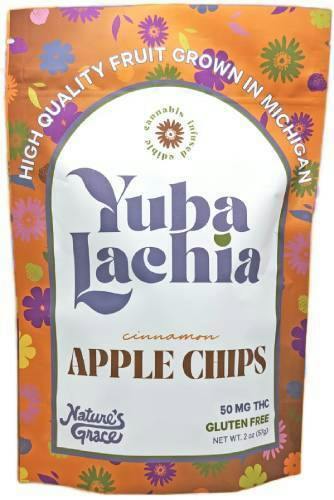 CINNAMON APPLE CHIPS