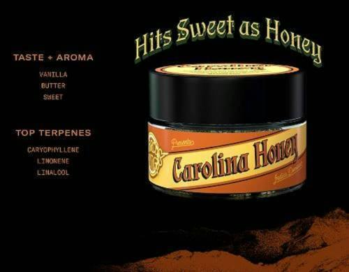 CAROLINA HONEY ARTIST SERIES FLOWER