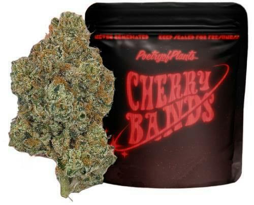 CHERRY BANDS SMALL BUDS