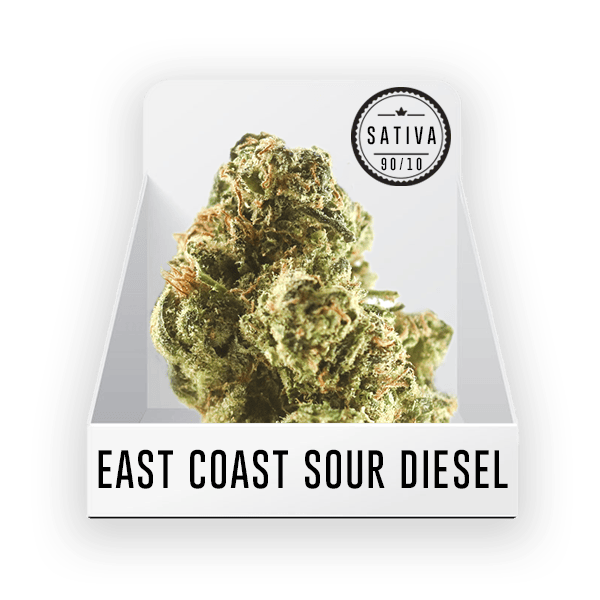 Bud East Coast Sour Diesel