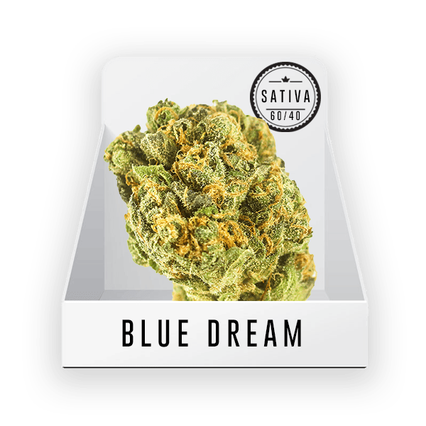 Bud (Top Shelf) - Blue Dream 22.5% THC