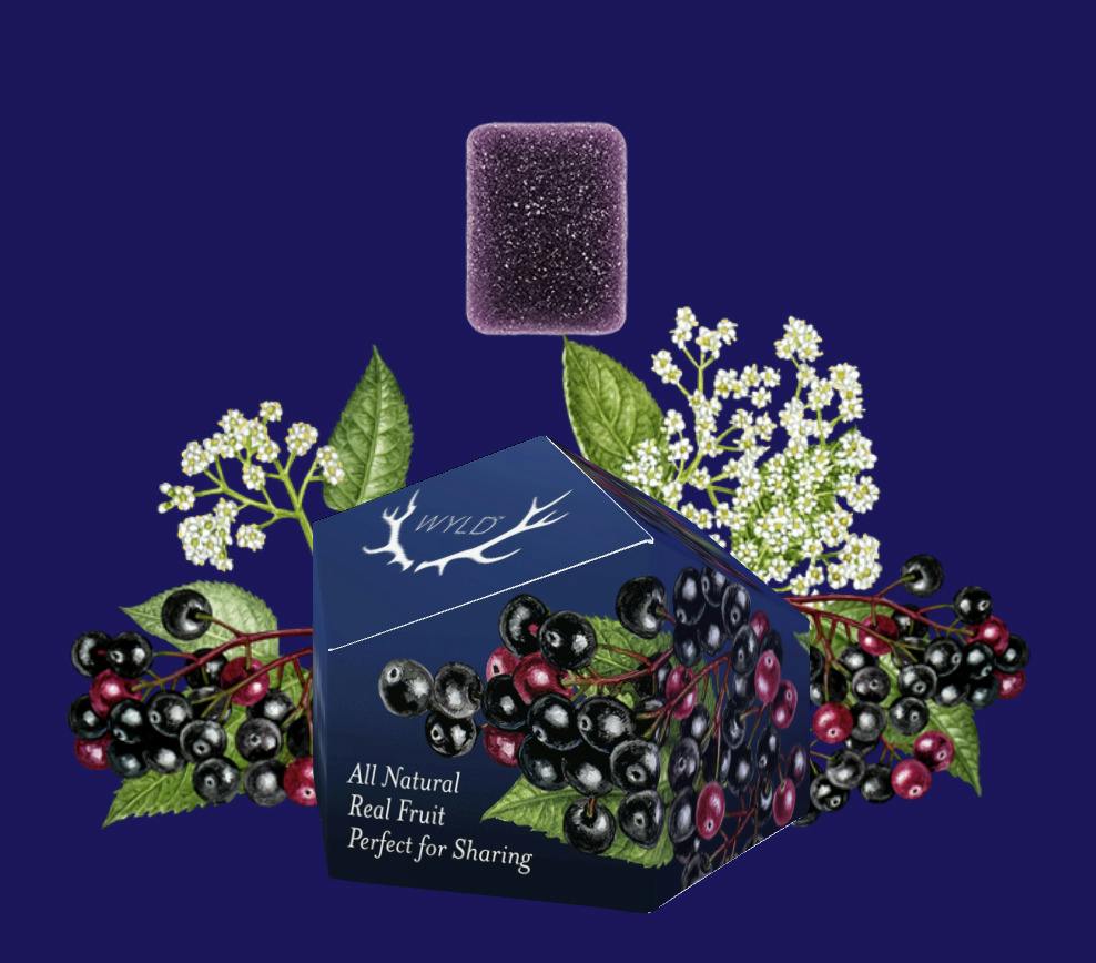 Elderberry (2:1) (I)