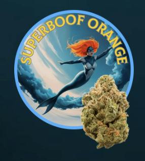 Superboof Orange (H)