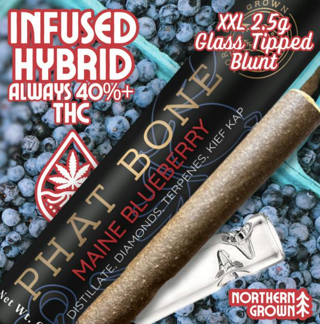 Phat Bone | Maine Blueberry (H)