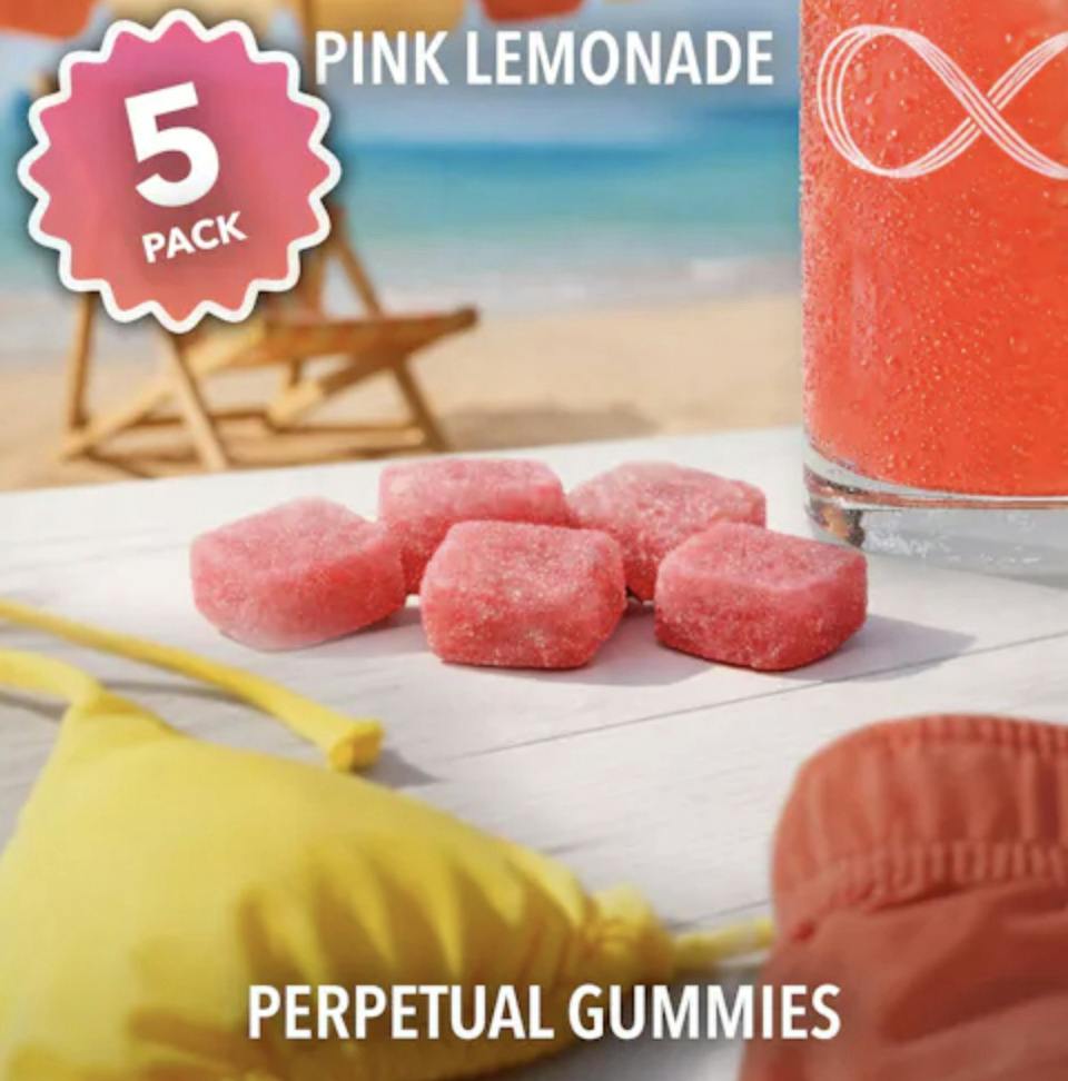 Perpetual | Pink Lemonade (H) at Pettals Cannabis Dispensary - Attleboro