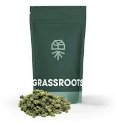 Grassroots | Novarine (S) - 7g (Smalls)
