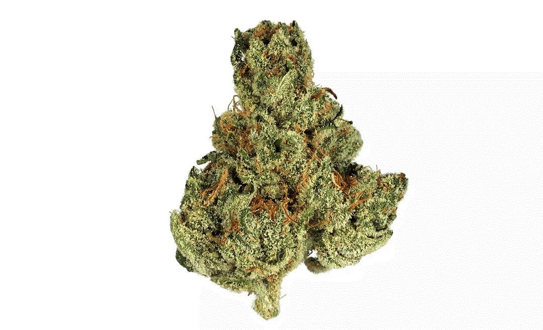 Tropicana Banana