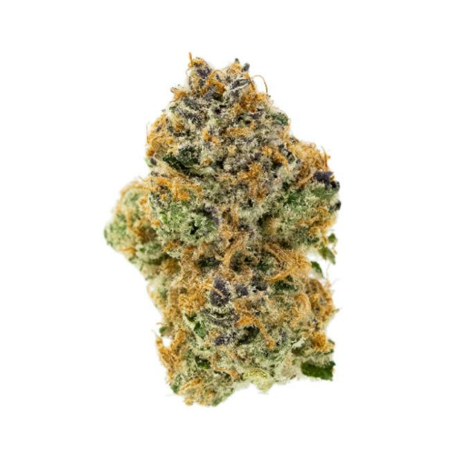 Mimosa EVO