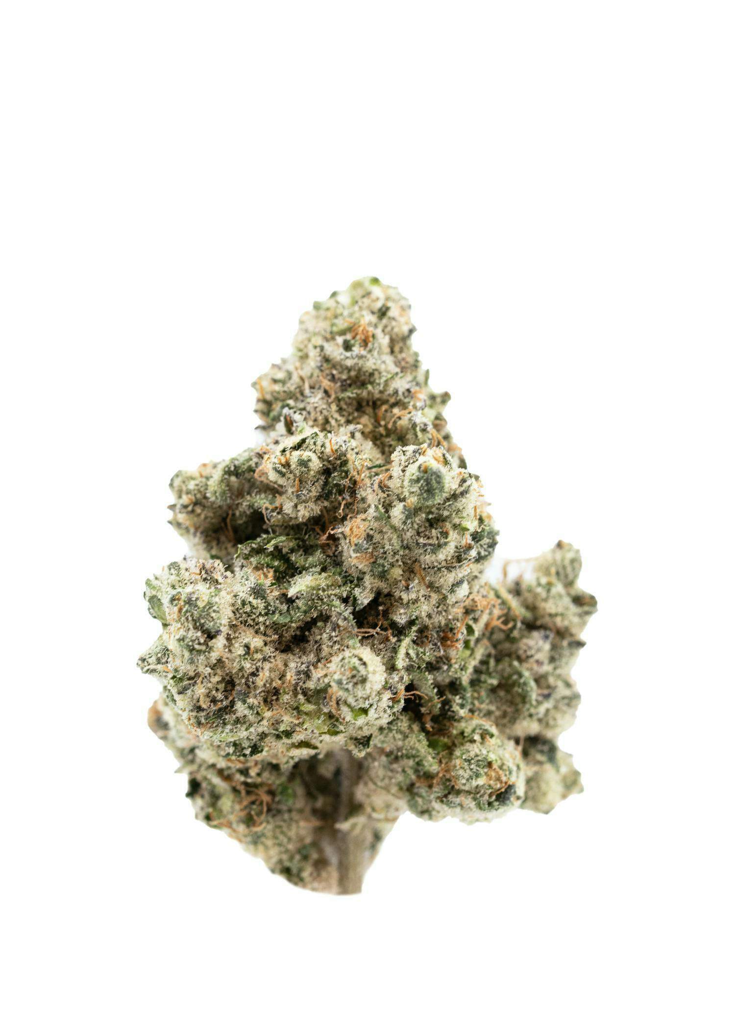Frost Creek