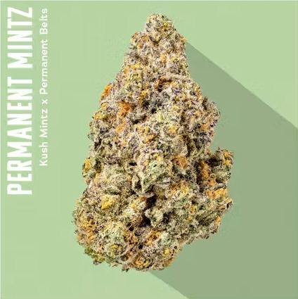 Permanent Mintz