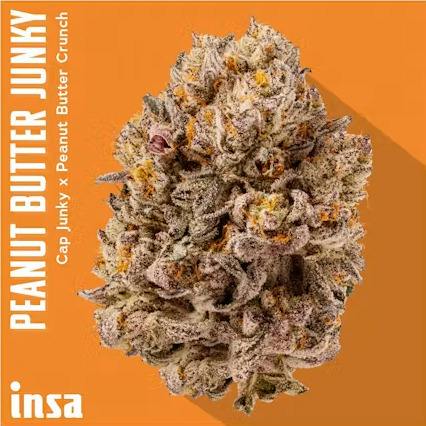 Peanut Butter Junky