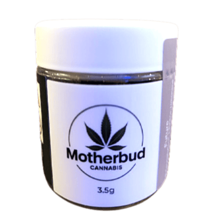 Motherbud Future