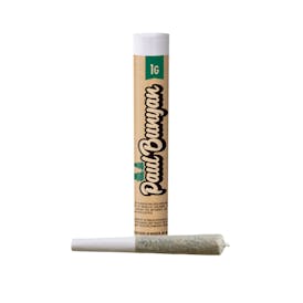 (Rec) Paul Bunyan - 1G Preroll - Glitter Bomb