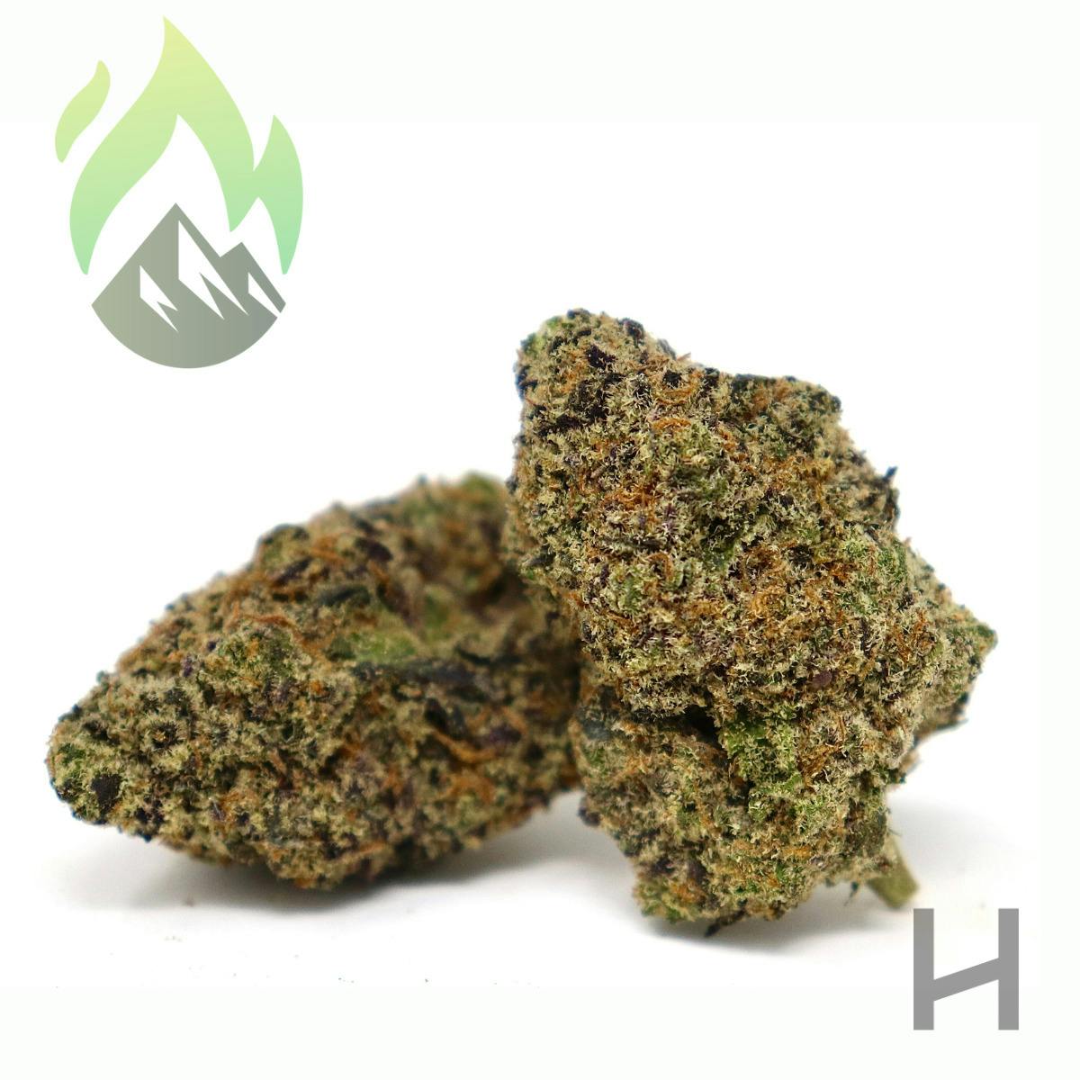 Wildfire | Champagne Butter | Flower | S | [3.5g]