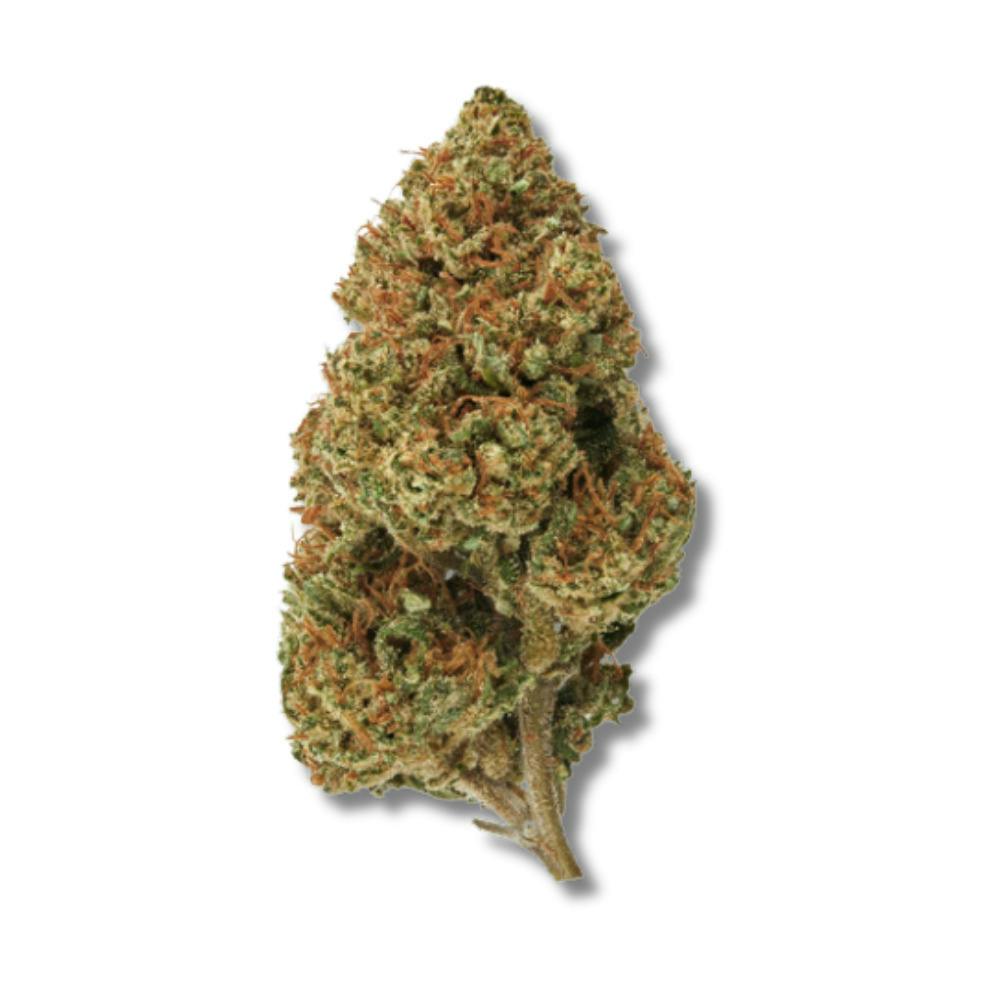 Jokerz | Flower | H | [3.5g]