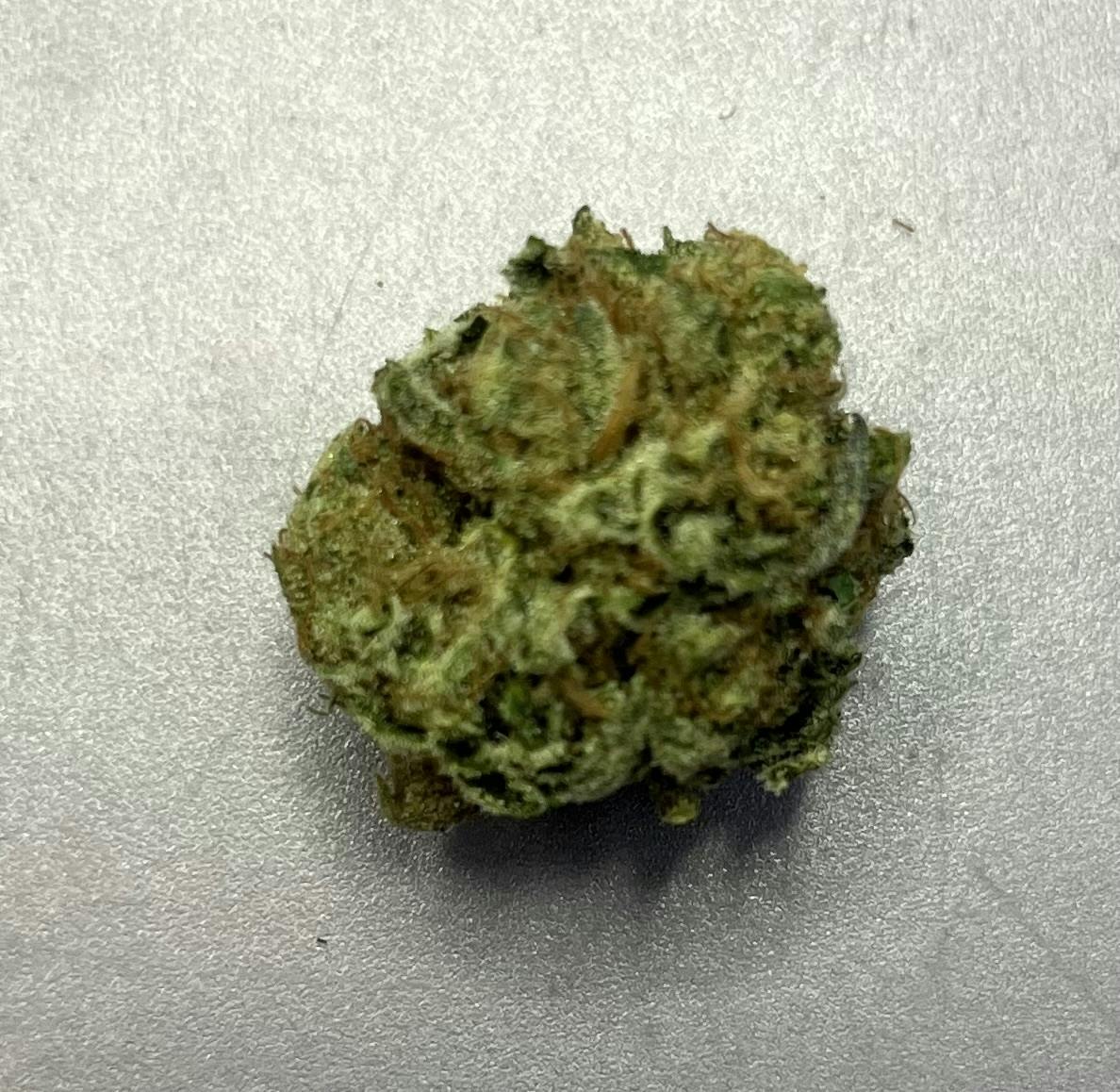 Sweet: Annie A-bud