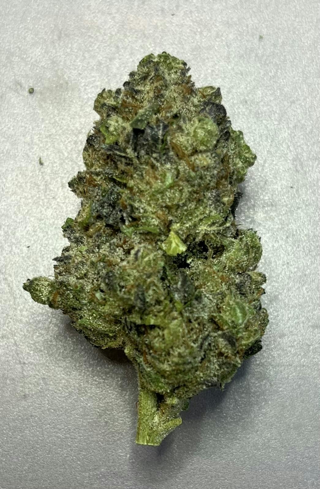 Booty Trap 1/OZ Pre-packaged Buds $