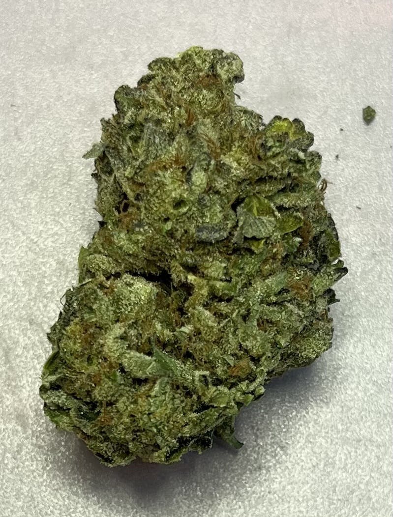 super boof: A Buds
