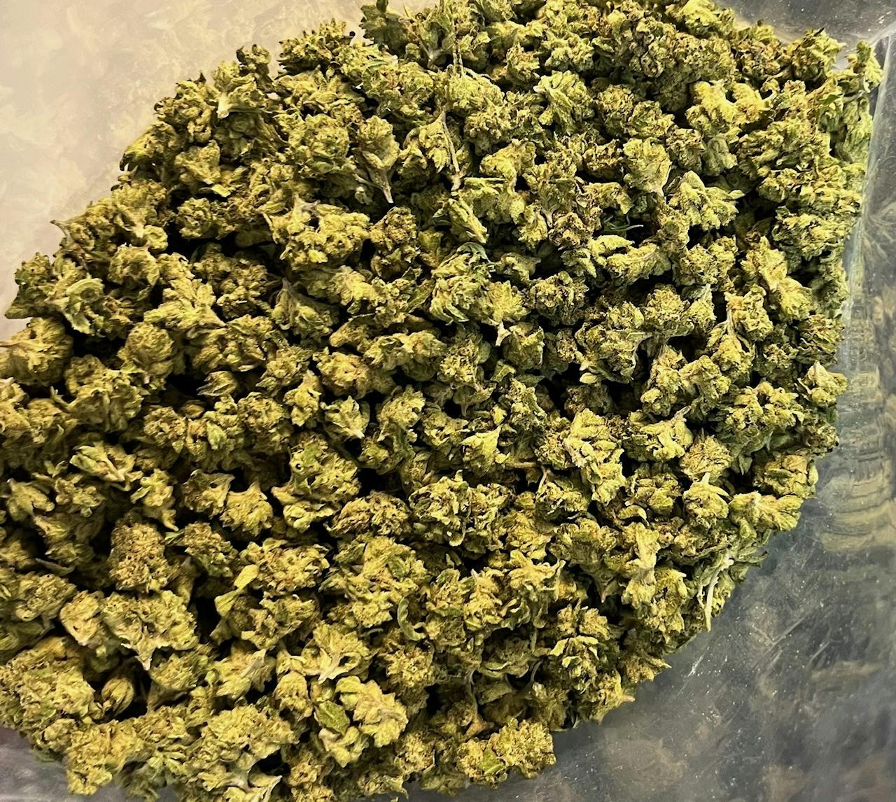 Jealousy: X Oreoz B-buds