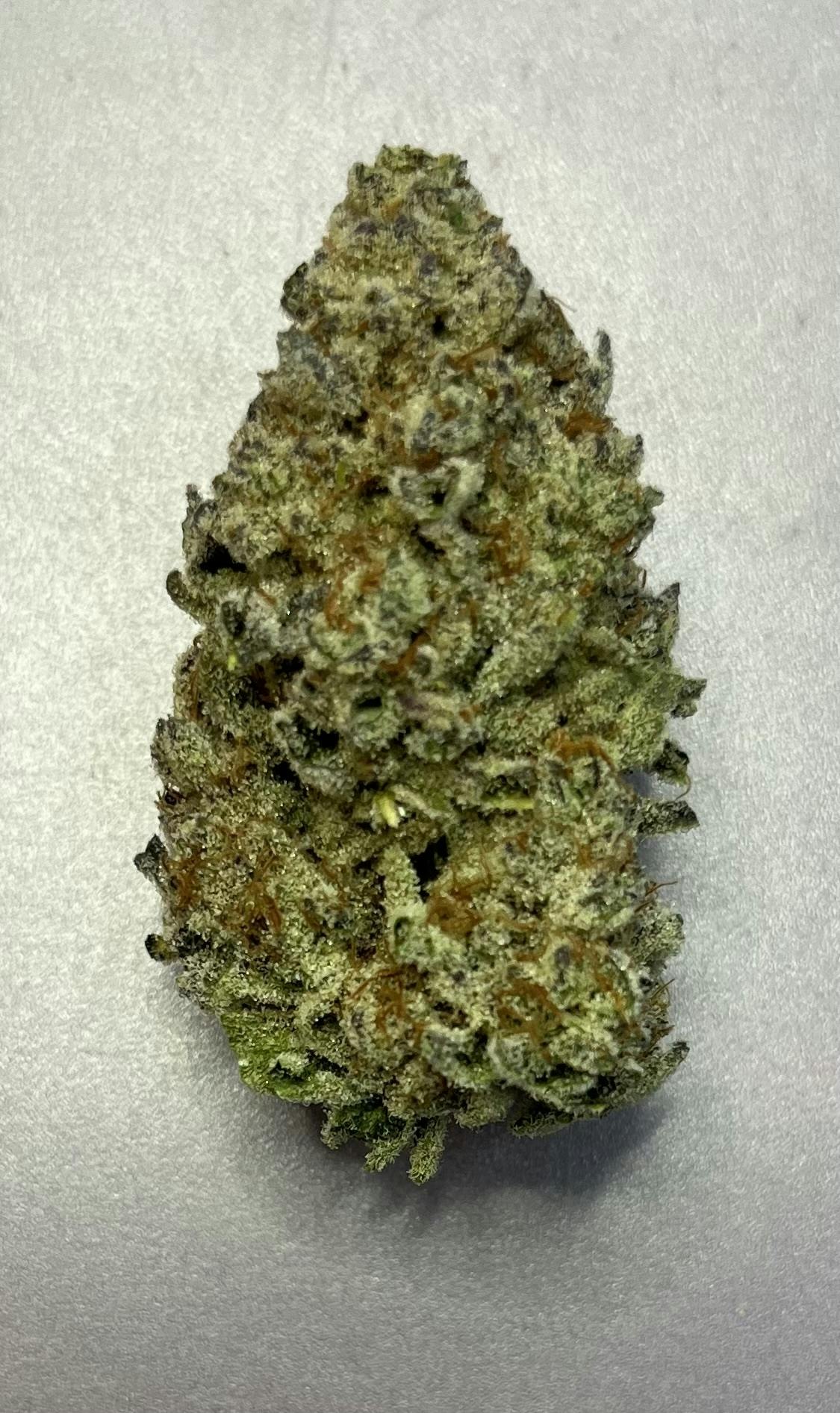 Family Jewels: A- Buds
